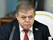 Зачем Киеву нужен референдум по выводу ВСУ из Донбасса