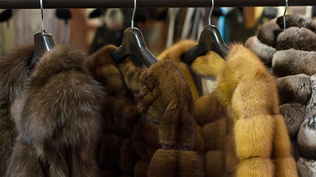 В Хабаровском крае мужчина украл две шубы из квартиры знакомой