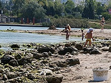 В Кировской области в 2022 году объем собственных доходов вырос на 5,9%