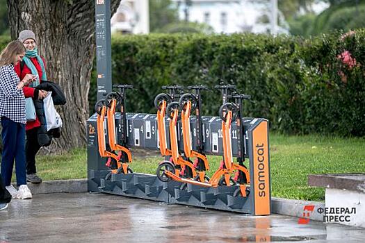 Наталья Агре предложила усилить меры безопасности для пешеходов