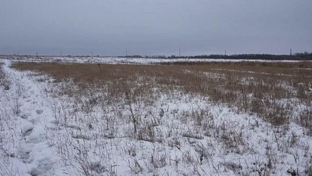          В Слободском районе зарос сорняками земельный участок сельхозназначения       