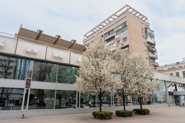 Помещения краснодарского «Дома книги» возвращены в муниципальную собственность