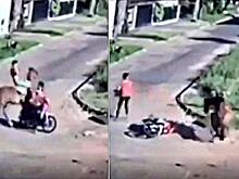 Всадник на лошади не поделил дорогу с мотоциклисткой в Бразилии