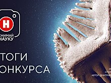 Загадка янтаря, ископаемая спора папоротника и работа вулканологов: фотоконкурс «Снимай науку!» подвел итоги