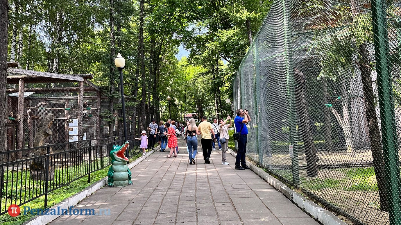 Пензенский зоопарк приобрел пару фенеков за 540 000 рублей