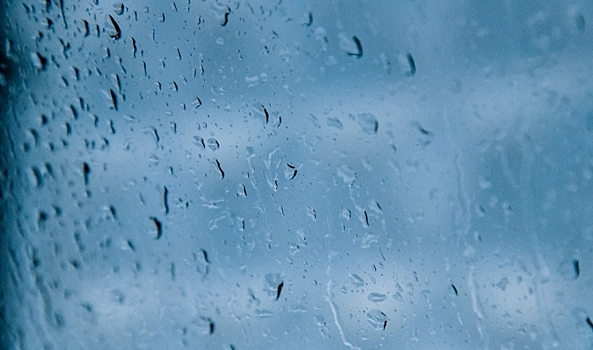 Дожди и туман прогнозируются в Волгоградской области