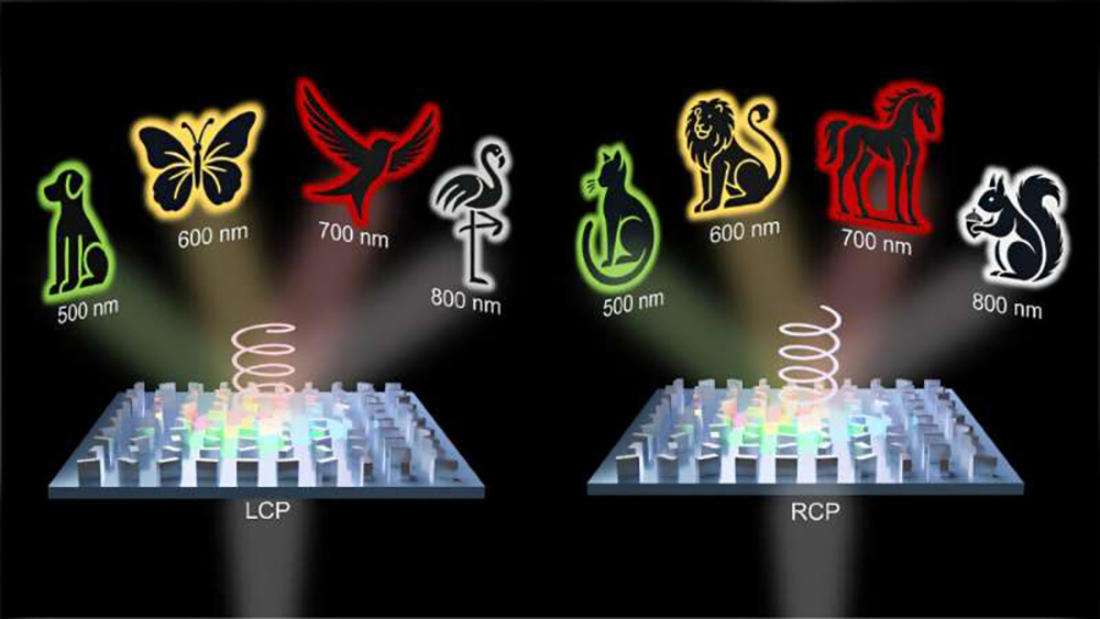 Дисплей с метаповерхностью показывает десятки разных изображений на одном экране