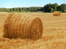 Две байки бабы Груши. Сказ о том, чего за деньги не купишь