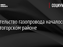 Строительство газопровода началось в Бокситогорском районе