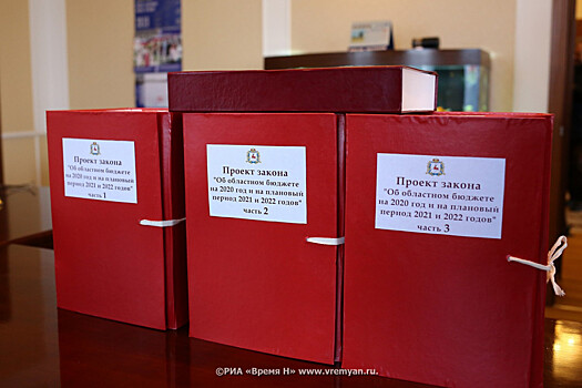 В Нижегородской области состоялось «нулевое чтение» бюджета на 2021 год