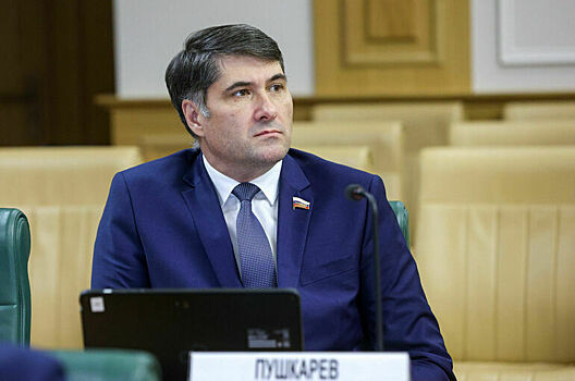 Сенатор рассказал, где лучше всего встречать Новый год