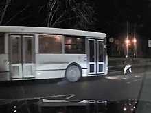 В Ленинградской области автобус сбил пенсионера, переходившего дорогу. Видео