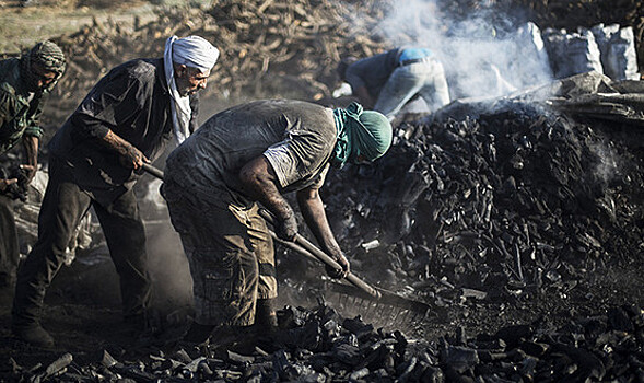 Любители барбекю вызвали бум продаж древесного угля