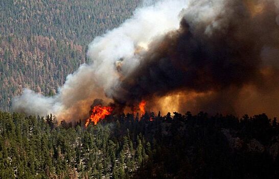 Рослесхоз оценил экономический ущерб от лесных пожаров