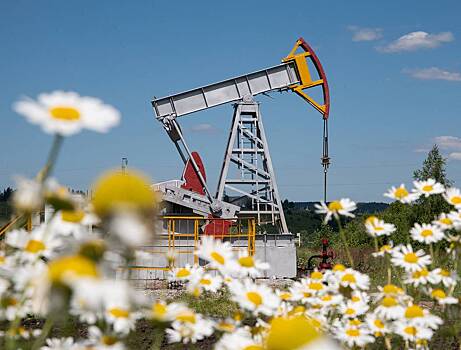 Новак объяснил медленный рост нефтедобычи в России