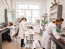 Эко-минеральное удобрение с использование только российского сырья создали ученые БашГУ