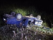 В Кировской области лось «выбил» с дороги «семерку»