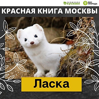 В экоцентре «Экошкола Кусково» рассказали про великих мореплавателей