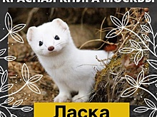 В экоцентре «Экошкола Кусково» рассказали про великих мореплавателей