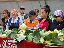 В Татарстане снижаются цены на продукты из "борщевого набора"