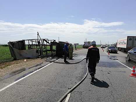 Две грузовые машины столкнулись на трассе в Краснодарском крае из-за осы