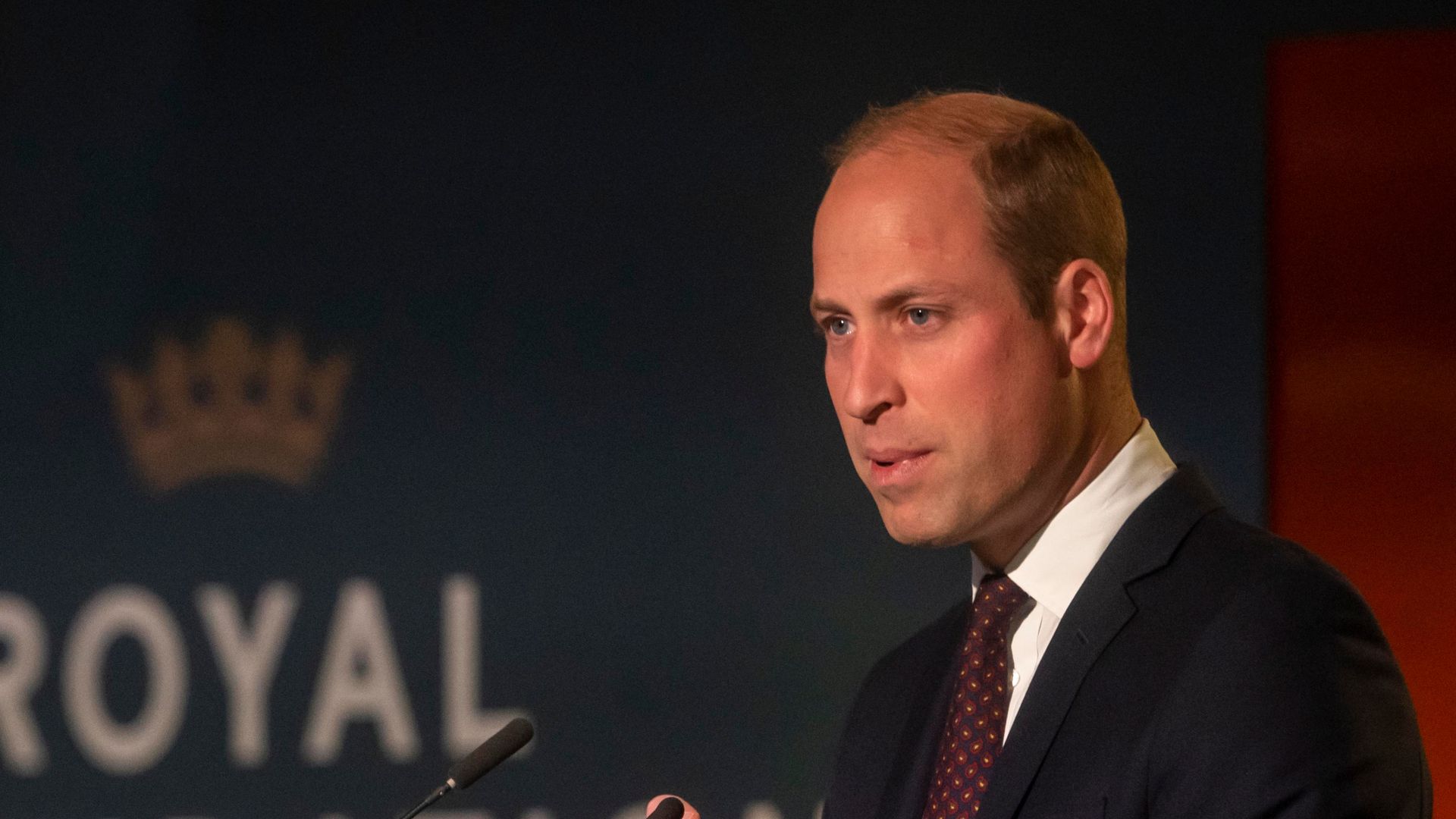Daily Beast: принц Уильям испытывает абсолютную ненависть к брату из-за его мемуаров