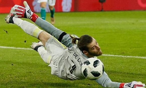 Плетикоса: хуже мяча ЧМ-2010 ничего быть не может, просто надо привыкнуть