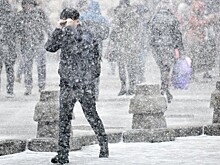 Москвичам предрекли 17-градусный мороз и аномальное тепло