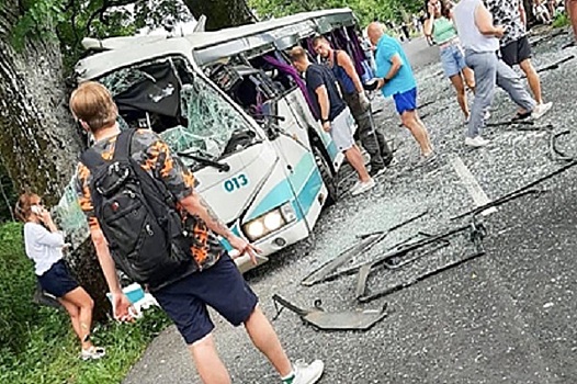 Рейсовый автобус врезался в дерево под Калининградом