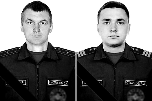 В МЧС сообщили подробности гибели двух донецких пожарных