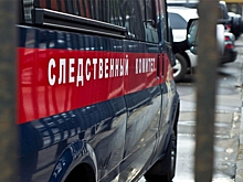 Бастрыкин возбудил дело против судьи Мальцевой