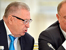 Эксперт оценил жалобу КПРФ в СК на ЛДПР из-за высказываний Жириновского