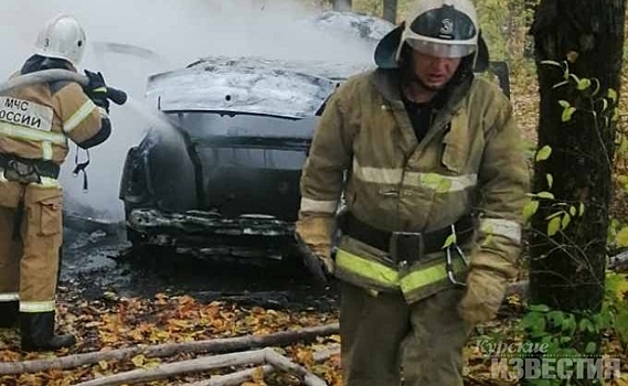 Водитель «Рено» сгорел в своем авто на территории курской дачи