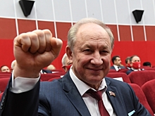 Адвокат заявил, что с экс-депутата Рашкина сняли судимость