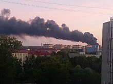 Крушение самолета под Рязанью: погибли два человека
