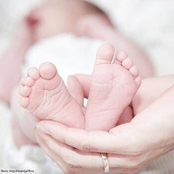 В Подмосковье родители отказались от новорождённой дочери весом в 470 граммов