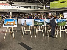 Во Внуково открылась фотовыставка «Ингушетия — край башен и легенд»