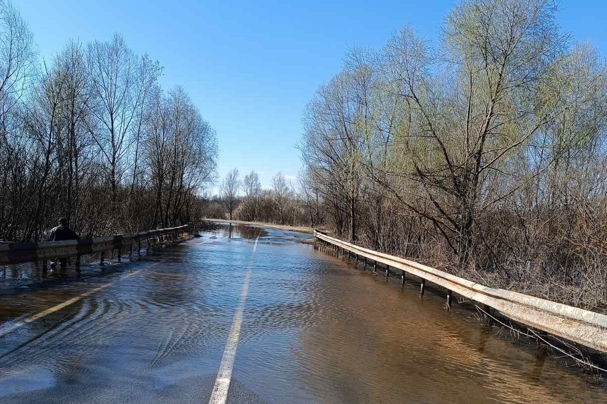Мост затопило в Павловском округе
