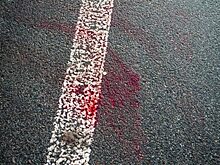 Мать сбитого насмерть в Саратове малыша ползала на кровавом асфальте на коленях