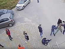 Из-за женщины и власти: в коттеджном поселке подрались два председателя