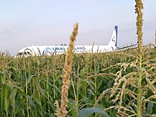 Совершивший аварийную посадку А321 вывезут по частям за границу
