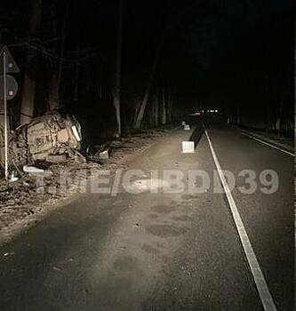 На трассе Калининград — Балтийск автомобилист не справился с ночной дорогой, врезался в дерево и вылетел в кювет