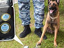 Красноармейский НИИ механизации представил тест-тренинги для собак-саперов