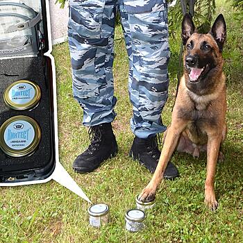 Красноармейский НИИ механизации представил тест-тренинги для собак-саперов