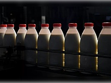 В российских сельхозорганизациях вновь отмечен рост реализации объема молока