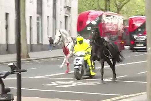 Лошади из кавалерии Карла III устроили кровавый побег в центре Лондона