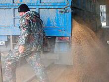 Пашинян высказался об отказе от российского зерна