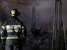 Ущерб от пожаров в России в 2025 году превысил 20 млрд рублей