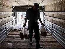 Смерть из банки: ВСУ теряют солдат на "передке" не только из-за пуль и осколков