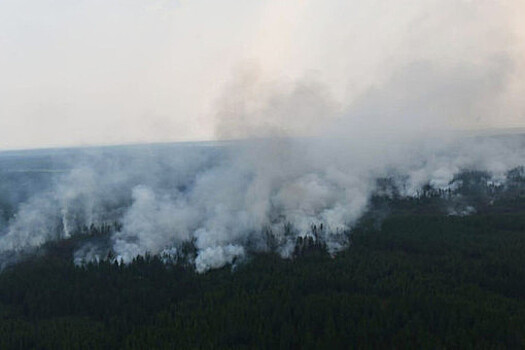В Иркутской области потушили все лесные пожары